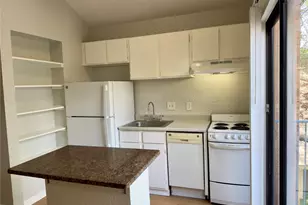 513 S Park Dr, Austin, TX 78704 - Photo 5