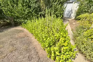 608 Mogonye Ln, Elgin, TX 78621 - Photo 33