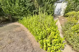 608 Mogonye Ln, Elgin, TX 78621 - Photo 33