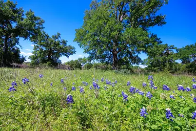 480 Blue Creek Drive, Dripping Springs, TX 78620 - Photo 5