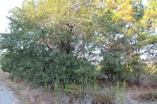 002 Kipahulu Ln, Bastrop, TX 78602 - Photo 1