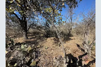 0 Tbd Cedar Drive, Granite Shoals, TX 78654 - Photo 3