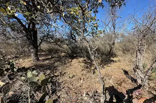 0 Tbd Cedar Dr, Granite Shoals, TX 78654 - Photo 3