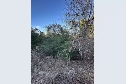 0 Tbd Cedar Drive, Granite Shoals, TX 78654 - Photo 9