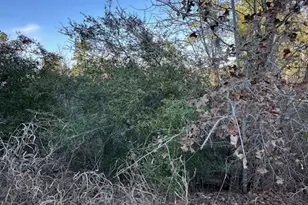 0 Tbd Cedar Dr, Granite Shoals, TX 78654 - Photo 9