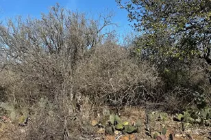 0 Tbd Cedar Dr, Granite Shoals, TX 78654 - Photo 5