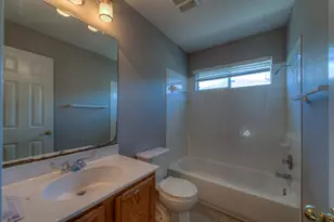 572 Woodsorrel Way, Round Rock, TX 78665 - Photo 13