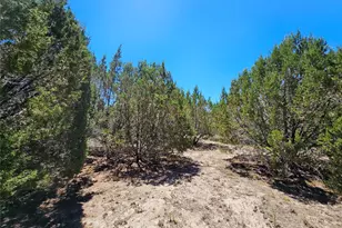 Lot 25 Alta Vista Dr, Lampasas, TX 76550 - Photo 3