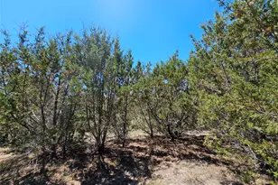 Lot 25 Alta Vista Dr, Lampasas, TX 76550 - Photo 5