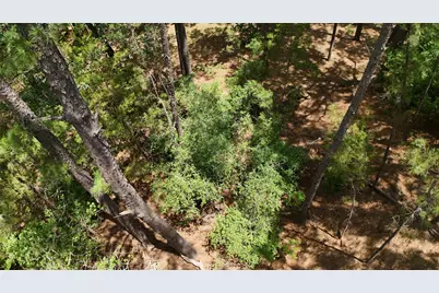 Lot 232 Hekili Drive, Bastrop, TX 78602 - Photo 5