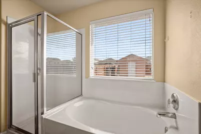 13232 Forest Sage Street, Manor, TX 78653 - Photo 15
