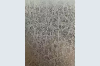 202 Herald Drive, Hutto, TX 78634 - Photo 15