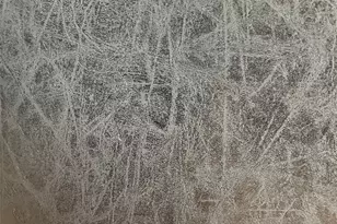 202 Herald Dr, Hutto, TX 78634 - Photo 15