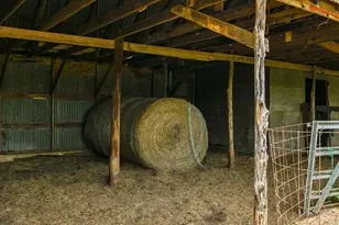 1750 Craddock Ave, San Marcos, TX 78666 - Photo 19