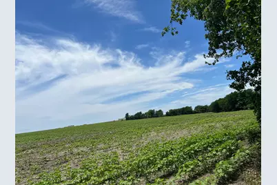 65.47 Acres Cr 327 Road, Granger, TX 76530 - Photo 3