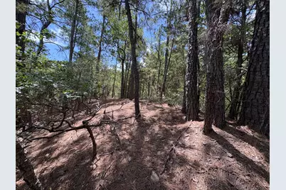 120 Molokini Drive, Bastrop, TX 78602 - Photo 5