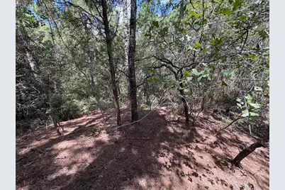 120 Molokini Drive, Bastrop, TX 78602 - Photo 7