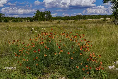 Lot 11 Maddalena Lane, Dripping Springs, TX 78620 - Photo 9