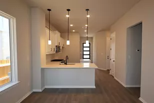 194 Grayson Elm Pass, Dripping Springs, TX 78620 - Photo 3