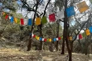 802 Bell Springs Rd, Dripping Springs, TX 78620 - Photo 31