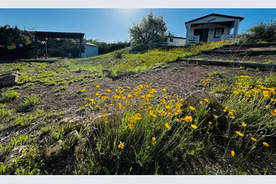 802 Bell Springs Road, Dripping Springs, TX 78620 - Photo 5