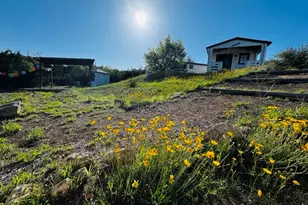 802 Bell Springs Rd, Dripping Springs, TX 78620 - Photo 5