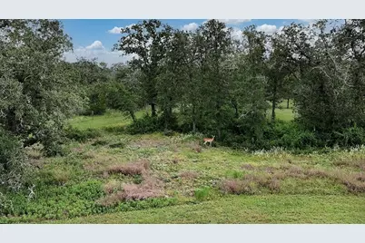 2625 Burke Road, Flatonia, TX 78941 - Photo 3