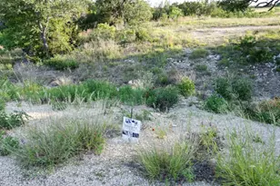 Lot 76 Serenity Dr, Bertram, TX 78605 - Photo 3