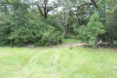 None County Road 3401, Crockett, TX 75851 - Photo 5