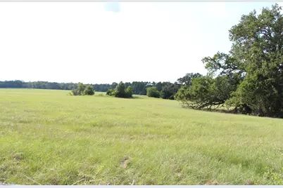 None County Road 3401, Crockett, TX 75851 - Photo 7