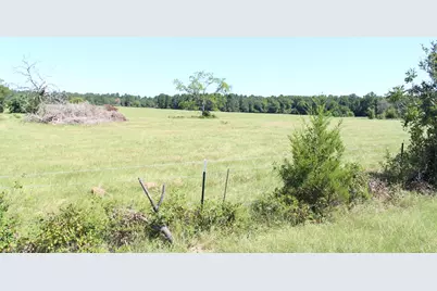 None County Road 3401, Crockett, TX 75851 - Photo 3