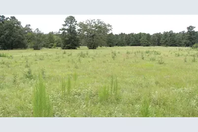 None County Road 3401, Crockett, TX 75851 - Photo 11