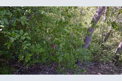 110 Swift Lane, Bastrop, TX 78602 - Photo 37