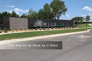 256 Tequilana Pass, Leander, TX 78641 - Photo 39