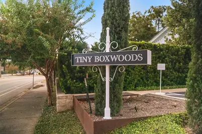 1810 Mohle Drive, Austin, TX 78703 - Photo 23