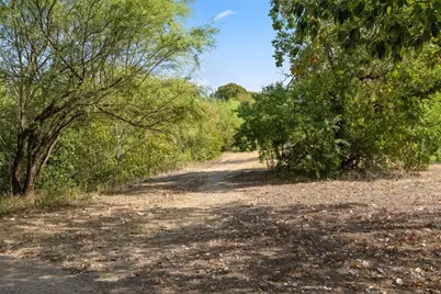 1810 Mohle Drive, Austin, TX 78703 - Photo 21