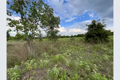 Tbd County Rd., Lot 20-C Road, Bastrop, TX 78602 - Photo 1