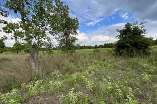 Tbd County Rd Lot 20-C Rd, Bastrop, TX 78602 - Photo 1