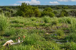 Lot 20 Gracewood Way, Dripping Springs, TX 78620 - Photo 1