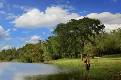 366 Crosswater Lane, Dripping Springs, TX 78620 - Photo 7