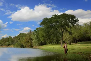 366 Crosswater Ln, Dripping Springs, TX 78620 - Photo 7