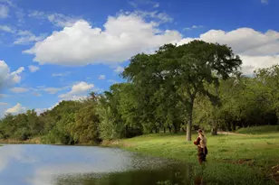 366 Crosswater Ln, Dripping Springs, TX 78620 - Photo 13