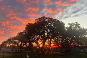 8203 Longview Rd, Austin, TX 78745 - Photo 5