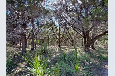 2021 Ronda Court, Canyon Lake, TX 78133 - Photo 9