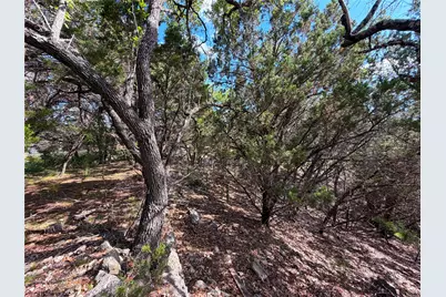 2021 Ronda Court, Canyon Lake, TX 78133 - Photo 13