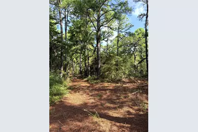 Tbd Marlin Street, McDade, TX 78650 - Photo 1