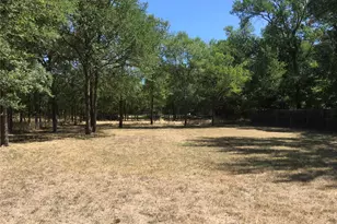 298 Lamaloa Ln, Bastrop, TX 78602 - Photo 17