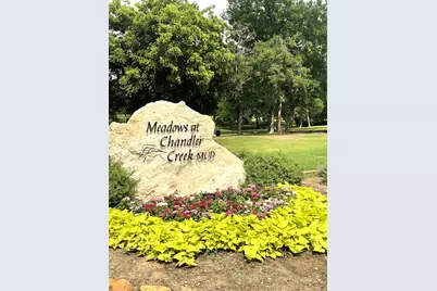 2203 Boneset Trail, Round Rock, TX 78665 - Photo 35