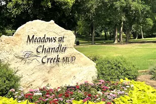 2203 Boneset Trail, Round Rock, TX 78665 - Photo 35