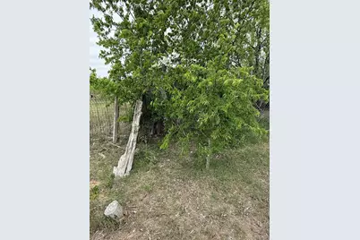 1796 County Road 139 Road, Hutto, TX 78634 - Photo 9